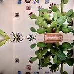 Apartment E Mare